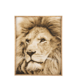 Cadre Lion Bois-Verre Marron