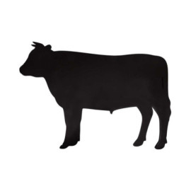 Tableau noir vache