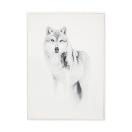 Tableau Loup N/B