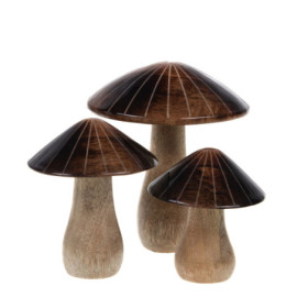 Champignons Marron x3